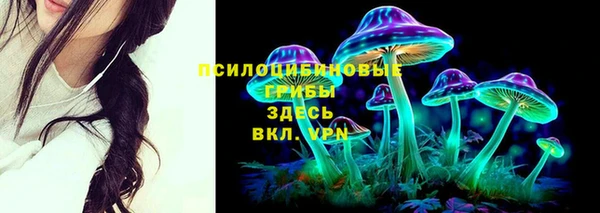 ешки Богородск