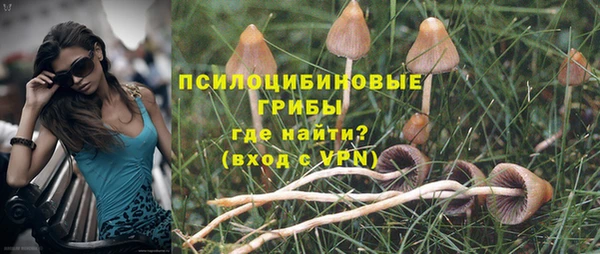 кристаллы Богданович