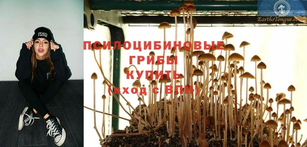 мескалин Богородицк